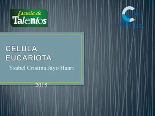 Ysabel Cristina Jayo Huari
2015
 