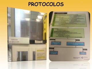 PROTOCOLOS
 