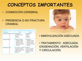 CONCEPTOS IMPORTANTES
• CONMOCIÓN CEREBRAL
• PRESENCIA O NO FRACTURA
CRANEAL
• INMOVILIZACIÓN ADECUADA
• TRATAMIENTO: ADECUADA
OXIGENACIÓN, VENTILACIÓN
Y CIRCULACIÓN.
 