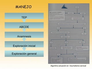 MANEJO
Exploración general
Exploración inicial
Anamnesis
ABCDE
TEP
Algoritmo actuación en traumatismo cervical
 