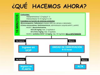 ¿QUÉ HACEMOS AHORA?
 