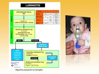 Algoritmo actuación en laringitis
 
