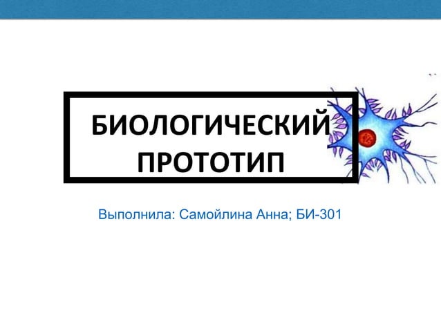 Биологический прототип | PPT