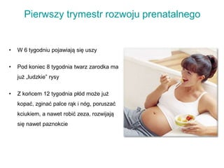 Pierwszy trymestr rozwoju prenatalnego
• W 6 tygodniu pojawiają się uszy
• Pod koniec 8 tygodnia twarz zarodka ma
już „ludzkie” rysy
• Z końcem 12 tygodnia płód może już
kopać, zginać palce rąk i nóg, poruszać
kciukiem, a nawet robić zeza, rozwijają
się nawet paznokcie
 