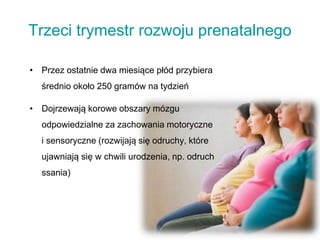 Trzeci trymestr rozwoju prenatalnego
• Przez ostatnie dwa miesiące płód przybiera
średnio około 250 gramów na tydzień
• Dojrzewają korowe obszary mózgu
odpowiedzialne za zachowania motoryczne
i sensoryczne (rozwijają się odruchy, które
ujawniają się w chwili urodzenia, np. odruch
ssania)
 