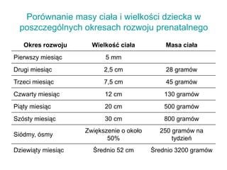 Porównanie masy ciała i wielkości dziecka w
poszczególnych okresach rozwoju prenatalnego
Okres rozwoju Wielkość ciała Masa ciała
Pierwszy miesiąc 5 mm
Drugi miesiąc 2,5 cm 28 gramów
Trzeci miesiąc 7,5 cm 45 gramów
Czwarty miesiąc 12 cm 130 gramów
Piąty miesiąc 20 cm 500 gramów
Szósty miesiąc 30 cm 800 gramów
Siódmy, ósmy
Zwiększenie o około
50%
250 gramów na
tydzień
Dziewiąty miesiąc Średnio 52 cm Średnio 3200 gramów
 