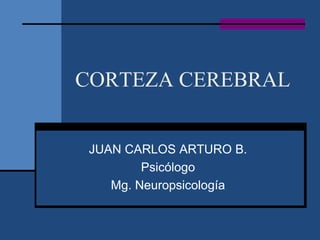 CORTEZA CEREBRAL
JUAN CARLOS ARTURO B.
Psicólogo
Mg. Neuropsicología
 