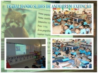 GIEDRE RAGNINI SÁ - FORMADORA PNAIC/UFSC 66
 