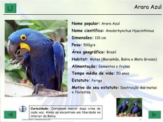 GIEDRE RAGNINI SÁ - FORMADORA PNAIC/UFSC 70
 