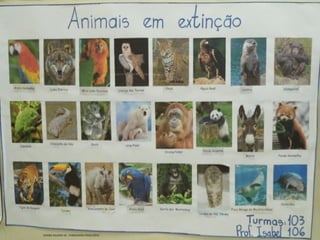 GIEDRE RAGNINI SÁ - FORMADORA PNAIC/UFSC 72
 