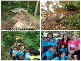 GIEDRE RAGNINI SÁ - FORMADORA PNAIC/UFSC 88
 