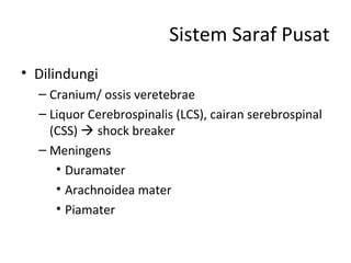 Sistem Saraf Pusat
• Dilindungi
– Cranium/ ossis veretebrae
– Liquor Cerebrospinalis (LCS), cairan serebrospinal
(CSS)  shock breaker
– Meningens
• Duramater
• Arachnoidea mater
• Piamater
 