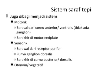 Sistem saraf tepi
 Juga dibagi menjadi sistem
Motorik
○Berasal dari cornu anterior/ ventralis (tidak ada
ganglion)
○Berakhir di motor endplate
Sensorik
○Berawal dari reseptor perifer
○Punya ganglion dorsalis
○Berakhir di cornu posterior/ dorsalis
Otonom/ vegetatif
 