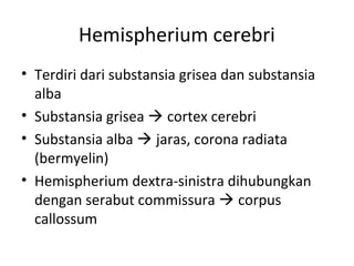 Hemispherium cerebri
• Terdiri dari substansia grisea dan substansia
alba
• Substansia grisea  cortex cerebri
• Substansia alba  jaras, corona radiata
(bermyelin)
• Hemispherium dextra-sinistra dihubungkan
dengan serabut commissura  corpus
callossum
 