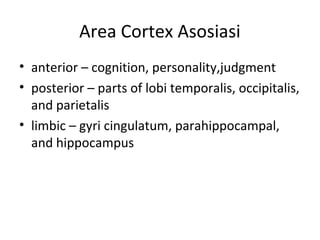 Area Cortex Asosiasi
• anterior – cognition, personality,judgment
• posterior – parts of lobi temporalis, occipitalis,
and parietalis
• limbic – gyri cingulatum, parahippocampal,
and hippocampus
 