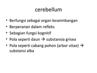 cerebellum
• Berfungsi sebagai organ keseimbangan
• Berperanan dalam refleks
• Sebagian fungsi kognitif
• Pola seperti daun  substansia grisea
• Pola seperti cabang pohon (arbor vitae) 
substansi alba
 