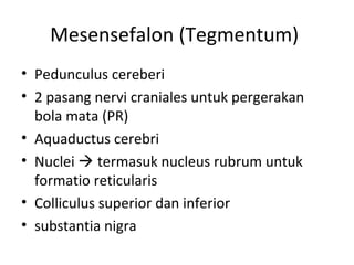 Mesensefalon (Tegmentum)
• Pedunculus cereberi
• 2 pasang nervi craniales untuk pergerakan
bola mata (PR)
• Aquaductus cerebri
• Nuclei  termasuk nucleus rubrum untuk
formatio reticularis
• Colliculus superior dan inferior
• substantia nigra
 