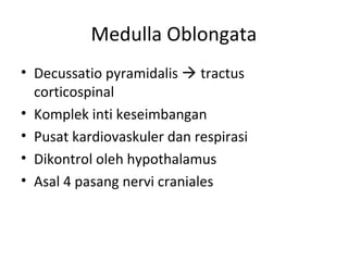 Medulla Oblongata
• Decussatio pyramidalis  tractus
corticospinal
• Komplek inti keseimbangan
• Pusat kardiovaskuler dan respirasi
• Dikontrol oleh hypothalamus
• Asal 4 pasang nervi craniales
 
