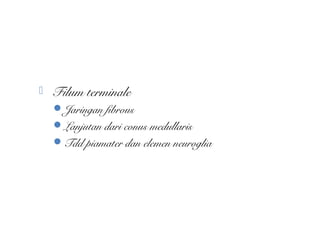  Filum terminale
Jaringan fibrous
Lanjutan dari conus medullaris
Tdd piamater dan elemen neuroglia
 