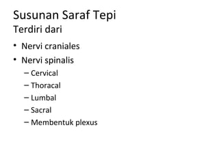 Susunan Saraf Tepi
Terdiri dari
• Nervi craniales
• Nervi spinalis
– Cervical
– Thoracal
– Lumbal
– Sacral
– Membentuk plexus
 