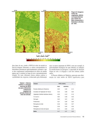 Diversidade Funcional em Floresta Atlântica 13
duas datas do ano, caindo o NDVI do redor da metade no
final da estiagem. Entretanto, os valores correspondentes às
fruticulturas permanecem aproximadamente constantes o que
se deve seguramente à predominância do cultivo de mamão
papaya que é contínuo ao longo do ano e permanentemente
irrigado. No total, diferentes fatores podem explicar a
variabilidade das respostas evidenciadas pela diminuição
mais ou menos importante do NDVI, como por exemplo, às
particularidades fenológicas de cada cobertura, às condições
de umedecimento da paisagem, à capacidade de absorção
d'água no solo e à irrigação e ciclo das culturas, dentre
outros.
A Floresta Atlântica de Tabuleiros apresenta uma dimi-
nuição do valor médio de NDVI significativa para
Figura 8. Imagens-
índice de
vegetação (NDVI)
correspondentes
aos meses de
Maio (esquerda) e
Setembro (direita)
de 1997.
Tabela 1. Valores
médios e variação
sazonal de NDVI
(ΔΔΔΔΔ) para diferentes
coberturas
vegetais da
porção Oeste da
área de estudo.
 