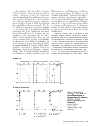 Diversidade Funcional em Floresta Atlântica 17
A floresta clímax, a Mata Alta ou Floresta Densa de
Cobertura Uniforme, e seus ecossistemas associados se
instalam e diferenciam em função das características
geomorfológicas, ligadas à diversidade de substratos os
quais, por sua vez, encontram-se em estreita associação
com os diferentes tipos de solos. Assim, o mapeamento
dos solos do núcleo florestal da REBIO Sooretama e da
Reserva de Linhares evidencia estas interações (Fig. 11).
Nos tabuleiros, em relevo plano ou suavemente ondulado,
e na suas encostas, mais ou menos abruptas, a Mata Alta
repousa sobre solos de tipo Podzólico cuja rocha matriz
são os sedimentos Barreiras. Ao predomínio dos solos
Podzólicos, se opõe a presença de solos tipo Podzol,
quando o substrato quaternário arenoso alcança uma certa
espessura e o lençol freático permanece em profundidades
da ordem de dois metros; a fácies florestal adquire um
aspecto mais aberto e de menor altura, menor diversidade
de espécies e abundância de elementos xerófilos, lianas e
bromélias, configurando a chamada Floresta de
Mussununga, próxima na sua fisionomia às matas de
Restinga. Fundos de vales são colonizados essencialmente
por ciperáceas e gramíneas associadas a solos tipo
Hidromórficos, com lençol freático pouco profundo, por
vezes emergente, dependendo da estação do ano e da
abundância das precipitações. Uma posição intermediária é
ocupada pela fácies com elementos graminoides e
arbustivos denominada de Nativo, relacionada à presença
de Areias Quartzosas, com um perfil do tipo AC bastante
desenvolvido, ou seja, com o horizonte superior orgânico
A, justaposto à rocha matriz arenosa C, relativamente
profundo. Ao Oeste, quando da emergência do cristalino,
os solos que sustentam a floresta são do tipo Latossolo
Vermelho-escuro.
A título de exemplo, dados de um perfil de solo
Podzólico Amarelo distrófico, ou Argissolo Amarelo,
exemplificam o tipo de solo dominante da Floresta Atlântica
de Tabuleiros na sua fácies a mais representativa, a Mata
Alta (Fig. 12A). Duas características principais definem
este tipo de solo: a primeira é a drástica diferença de
granulometria com a profundidade e a segunda se refere
à baixa fertilidade, conseqüente às pequenas concentrações
de bases de troca, estimadas pela adição de Ca2+, Mg2+,
Na+ e K+. Ele apresenta um primeiro horizonte eluvial, o
horizonte A orgânico-mineral, de textura arenosa a média
Figura12.Características
pedológicas dos perfis de solo
emduasfitofisionomiasda
FlorestaAtlânticadeTabuleiros,
MataAltaeMatade
Mussununga,naReservade
Linhares, ES.
A: solo Podzólico;
B: solo Podzol.
SegundoGarayetal.,1995,
modificado.
 