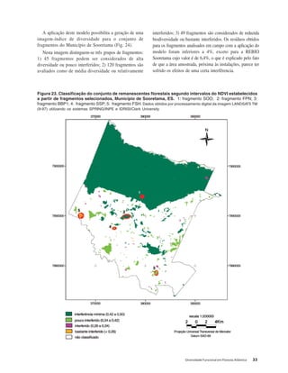 Diversidade Funcional em Floresta Atlântica 33
Figura 23. Classificação do conjunto de remanescentes florestais segundo intervalos do NDVI estabelecidos
a partir de fragmentos selecionados, Município de Sooretama, ES. 1: fragmento SOO; 2: fragmento FPN; 3:
fragmento BBP1; 4: fragmento SSP; 5: fragmento FSH. Dados obtidos por processamento digital da imagem LANDSAT5 TM
(9-97) utilizando os sistemas SPRING/INPE e IDRISI/Clark University.
A aplicação deste modelo possibilita a geração de uma
imagem-índice de diversidade para o conjunto de
fragmentos do Município de Sooretama (Fig. 24).
Nesta imagem distinguem-se três grupos de fragmentos:
1) 45 fragmentos podem ser considerados de alta
diversidade ou pouco interferidos; 2) 120 fragmentos são
avaliados como de média diversidade ou relativamente
interferidos; 3) 49 fragmentos são considerados de reduzida
biodiversidade ou bastante interferidos. Os resíduos obtidos
para os fragmentos analisados em campo com a aplicação do
modelo foram inferiores a 4%, exceto para a REBIO
Sooretama cujo valor é de 6,4%, o que é explicado pelo fato
de que a área amostrada, próxima às instalações, parece ter
sofrido os efeitos de uma certa interfêrencia.
 