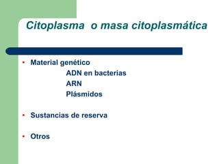 Citoplasma o masa citoplasmática
• Material genético
ADN en bacterias
ARN
Plásmidos
• Sustancias de reserva
• Otros
 