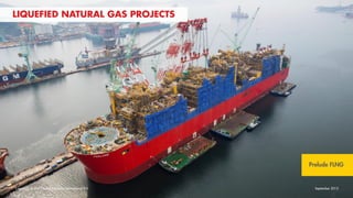 Shell Michelle Michelle van der Duin (Shell) WiPM240915 | PDF