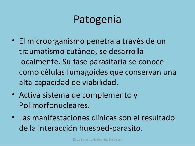 El vinagre del hongo entre los dedos de los pies