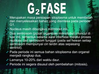 Merupakan masa persiapan sitoplasma untuk membelah
dan menyelesaikan bahan yang disintesa pada periode
G1.
Nucleus masih dibungkus membran inti
Dua sentrosom (pusat organisasi mikrotubul) muncul di
luar inti, terbentuk selama awal interfase melalui proses
replikasi dari sentrosom tunggal (pada sel hewan setiap
sentrosom mempunyai ciri terdiri atas sepasang
sentriol).
Pada periode ini semua bahan sitoplasma dan organel
menjadi rangkap dua.
Lamanya 10-20% dari waktu daur.
Periode ini segera disusul oleh pembelahan (mitosis).
 