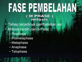 • Tahap terjadinya pembelahan sel
• Mitosis terdiri dari 5 Fase :
– Prophase
– Prometaphase
– Metaphase
– Anaphase
– Telophase
 