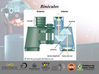 Instituto de Promoção ao Desenvolvimento da Cidadania
Binóculos
 