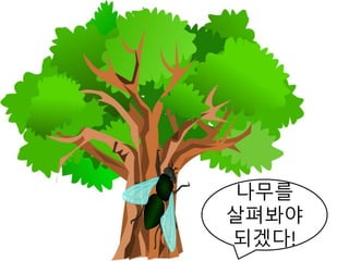 나무를
살펴봐야
되겠다!
 
