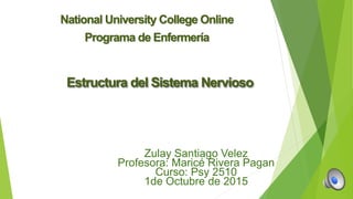 Estructura del Sistema Nervioso
National University College Online
Programa de Enfermería
Zulay Santiago Velez
Profesora: Maricé Rivera Pagan
Curso: Psy 2510
1de Octubre de 2015
 