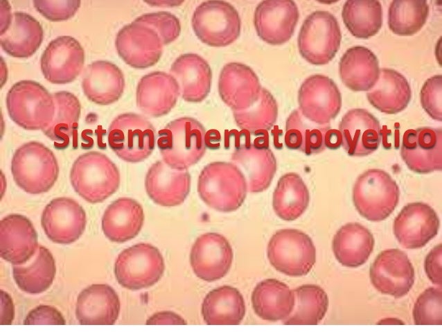 sistema hematopoyetico
