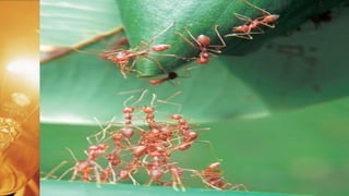 Supervisão e gestão na escola