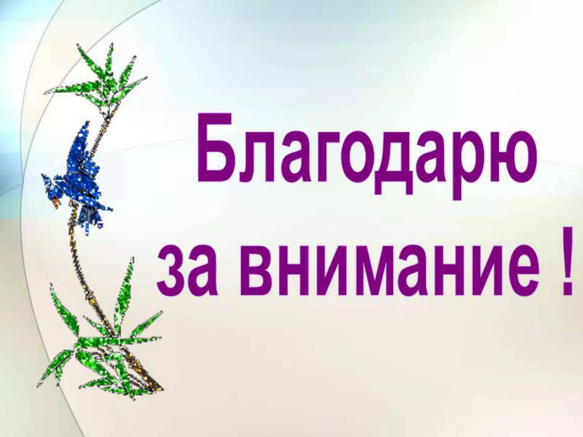 портфолио воспитателя