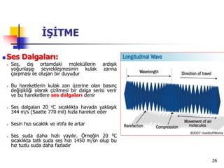 26
İŞİTME
 Ses Dalgaları:
 Ses, dış ortamdaki moleküllerin ardışık
yoğunlaşıp seyrekleşmesinin kulak zarına
çarpması ile oluşan bir duyudur
 Bu hareketlerin kulak zarı üzerine olan basınç
değişikliği olarak çizilmesi bir dalga serisi verir
ve bu hareketlere ses dalgaları denir
 Ses dalgaları 20 oC sıcaklıkta havada yaklaşık
344 m/s (Saatte 770 mil) hızla hareket eder
 Sesin hızı sıcaklık ve irtifa ile artar
 Ses suda daha hızlı yayılır. Örneğin 20 0C
sıcaklıkta tatlı suda ses hızı 1450 m/sn olup bu
hız tuzlu suda daha fazladır
 