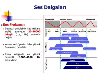 30
Ses Dalgaları
 Ses Frekansı:
 İnsanda duyulabilir ses frekans
aralığı saniyede 20-20000
döngü (cps, Hz) arasında
değişir
 Yarasa ve köpekler daha yüksek
frekansları duyabilir
 İnsan kulağında en yüksek
duyarlılık 1000-4000 Hz
arasındadır
 