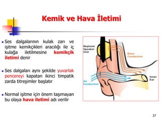 37
Kemik ve Hava İletimi
 Ses dalgalarının kulak zarı ve
işitme kemikçikleri aracılığı ile iç
kulağa iletilmesine kemikçik
iletimi denir
 Ses dalgaları aynı şekilde yuvarlak
pencereyi kapatan ikinci timpatik
zarda titreşimler başlatır
 Normal işitme için önem taşımayan
bu olaya hava iletimi adı verilir
 