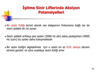 45
İşitme Sinir Liflerinde Aksiyon
Potansiyelleri
 Bir sesin tizliği temel olarak ses dalgasının frekansına bağlı ise de
sesin şiddeti de rol oynar
 Sesin şiddeti arttıkça pes sesler (5000 Hz altı) daha pesleşirken (4000
Hz üzeri) tiz sesler daha tizleşmektedir
 Bir sesin tizliğin algılabilmek için o sesin en az 0.01 saniye devam
etmesi gerekir ve süre uzadıkça sesin tizliği artar
 