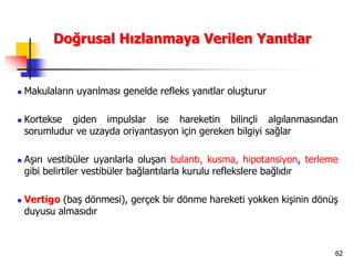 62
 Makulaların uyarılması genelde refleks yanıtlar oluşturur
 Kortekse giden impulslar ise hareketin bilinçli algılanmasından
sorumludur ve uzayda oriyantasyon için gereken bilgiyi sağlar
 Aşırı vestibüler uyarılarla oluşan bulantı, kusma, hipotansiyon, terleme
gibi belirtiler vestibüler bağlantılarla kurulu reflekslere bağlıdır
 Vertigo (baş dönmesi), gerçek bir dönme hareketi yokken kişinin dönüş
duyusu almasıdır
Doğrusal Hızlanmaya Verilen Yanıtlar
 