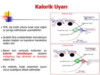 64
Kalorik Uyarı
 YDK, dış kulak yoluna sıcak veya soğuk
su şırınga edilmesiyle uyarılabilirler
 Sıcaklık farkı endolenfadan konveksiyon
akışları başlatır ve kupulanın hareketine
neden olur
 Bazen tanı amacıyla kullanılan bu
kalorik stimülasyon yöntemi
nistagmus, baş dönmesi ve kusmaya
neden olur
 Bu nedenle, kulak yıkanırken suyun
vücut sıcaklığına dikkat edilmelidir
 