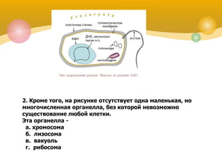 2. Кроме того, на рисунке отсутствует одна маленькая, но
многочисленная органелла, без которой невозможно
существование любой клетки.
Эта органелла -
а. хромосома
б. лизосома
в. вакуоль
г. рибосома
 
