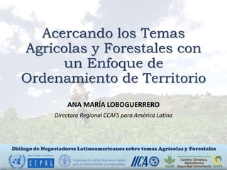 Acercando los Temas
Agrícolas y Forestales con
un Enfoque de
Ordenamiento de Territorio
ANA MARÍA LOBOGUERRERO
Directora Regional CCAFS para América Latina
 