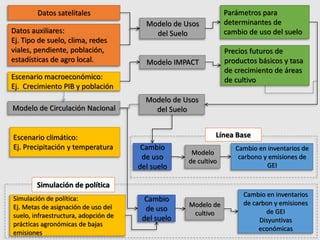 Acercando los Temas Agrícolas y Forestales con un Enfoque de Ordenamiento de Territorio