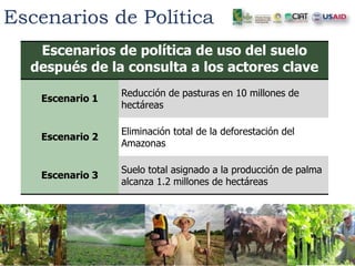 Acercando los Temas Agrícolas y Forestales con un Enfoque de Ordenamiento de Territorio