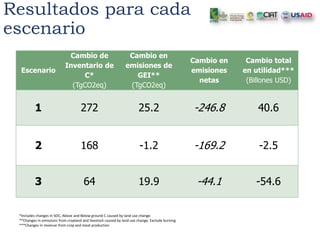 Acercando los Temas Agrícolas y Forestales con un Enfoque de Ordenamiento de Territorio