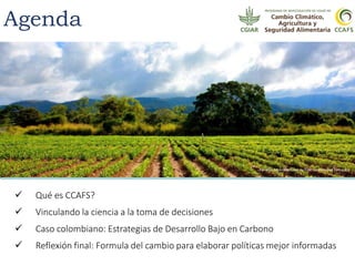 Agenda
 Qué es CCAFS?
 Vinculando la ciencia a la toma de decisiones
 Caso colombiano: Estrategias de Desarrollo Bajo e...
